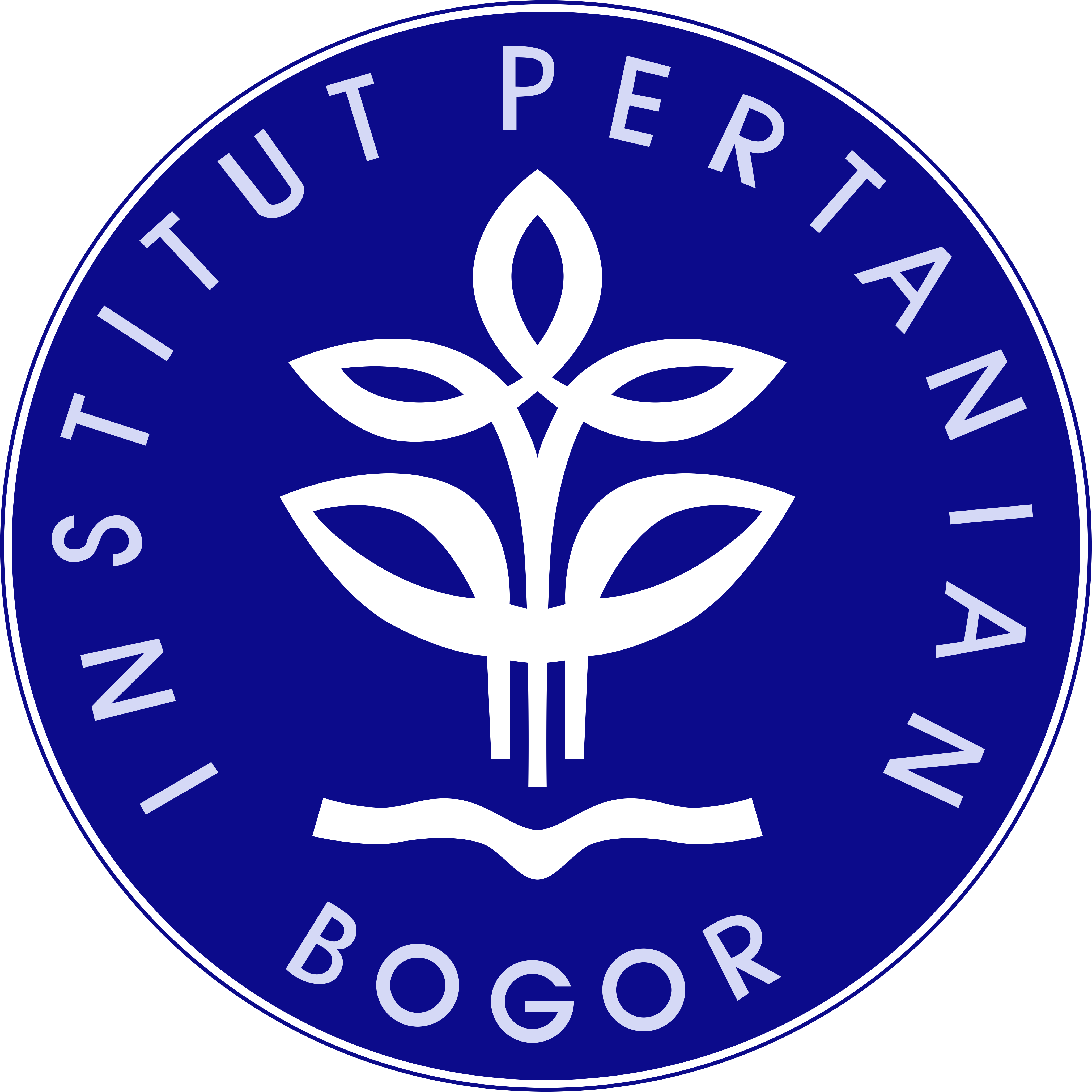 IPB